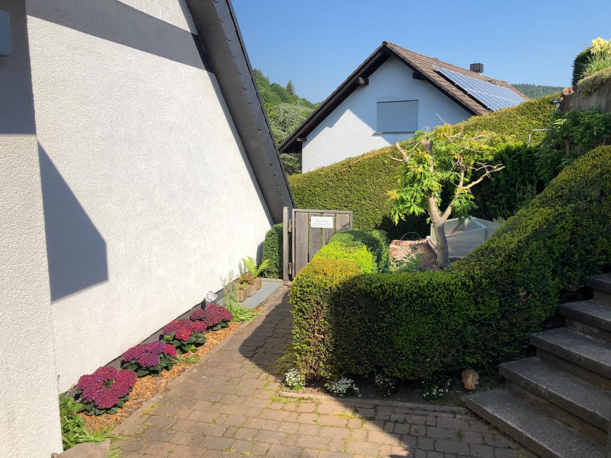 Burg Freienstein Blick 4 Sterne Mit Sauna Gammelsbach Экстерьер фото